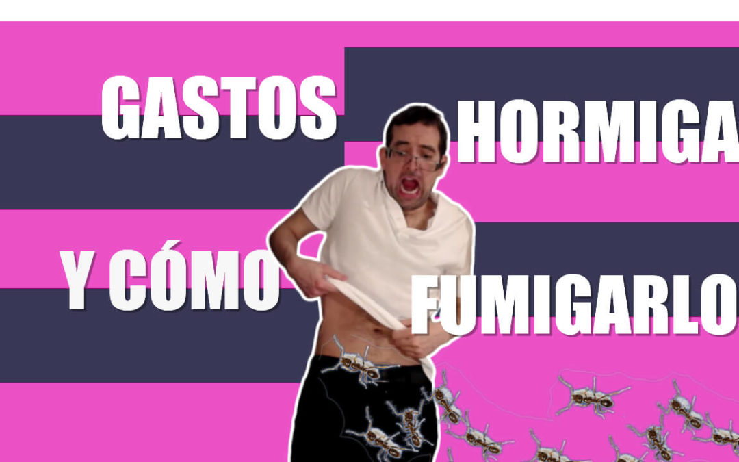 Gastos HORMIGA